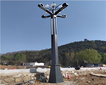 山西省運(yùn)城市高桿景觀道路路燈項目